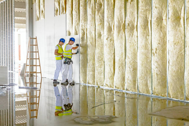 Best Residential Insulation in Rhinelander, WI